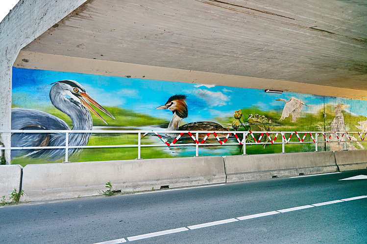 Graffiti-Art in viaduct/tunneltje onder de A12_14